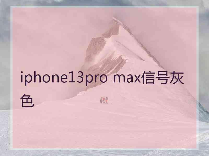 iphone13pro max信号灰色