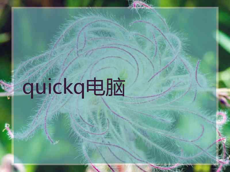 quickq电脑