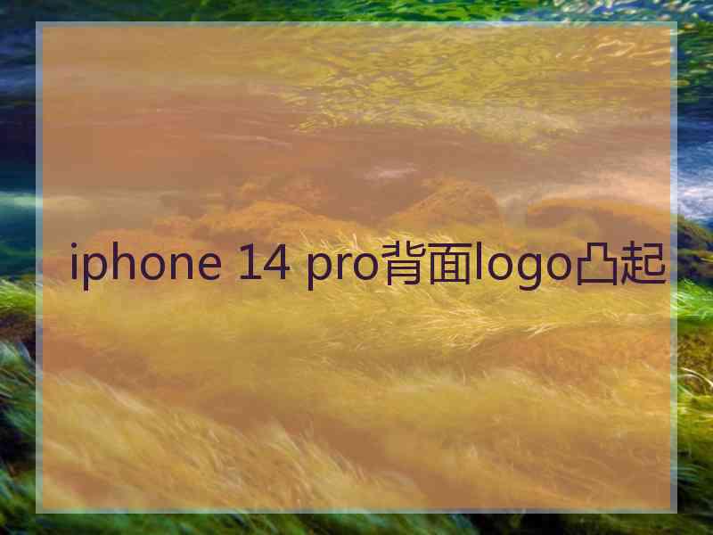 iphone 14 pro背面logo凸起