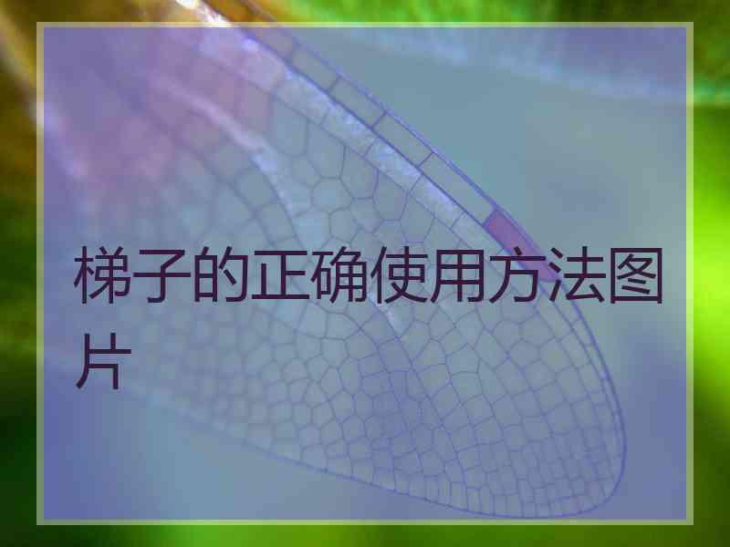 梯子的正确使用方法图片