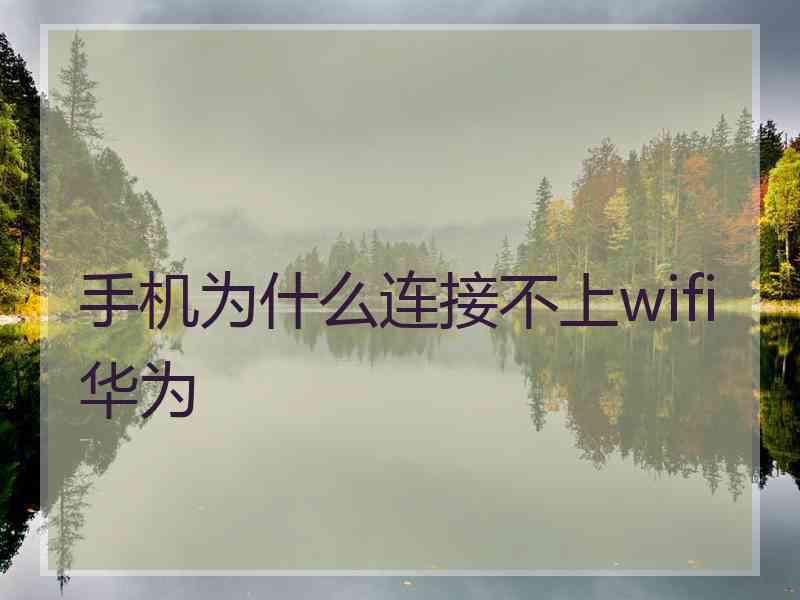 手机为什么连接不上wifi华为