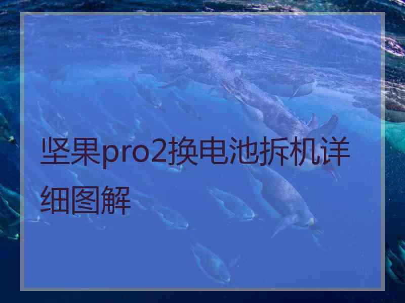 坚果pro2换电池拆机详细图解