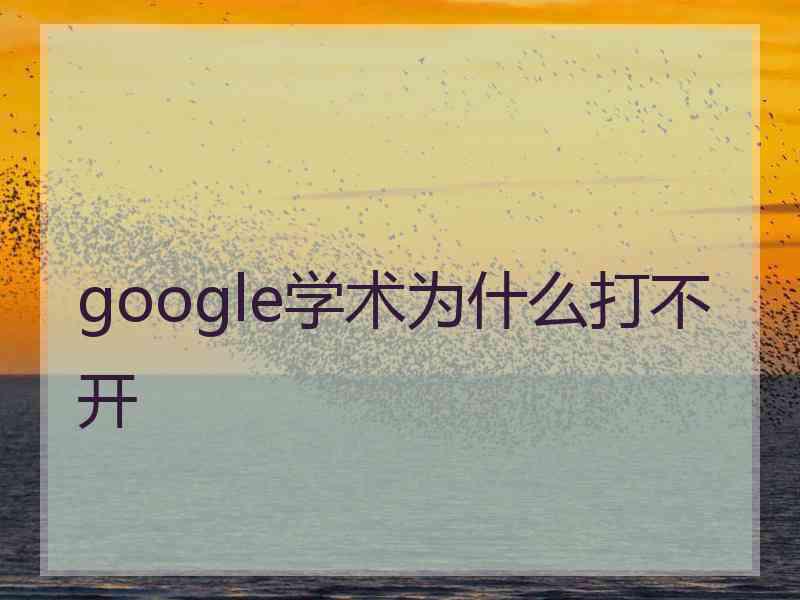 google学术为什么打不开