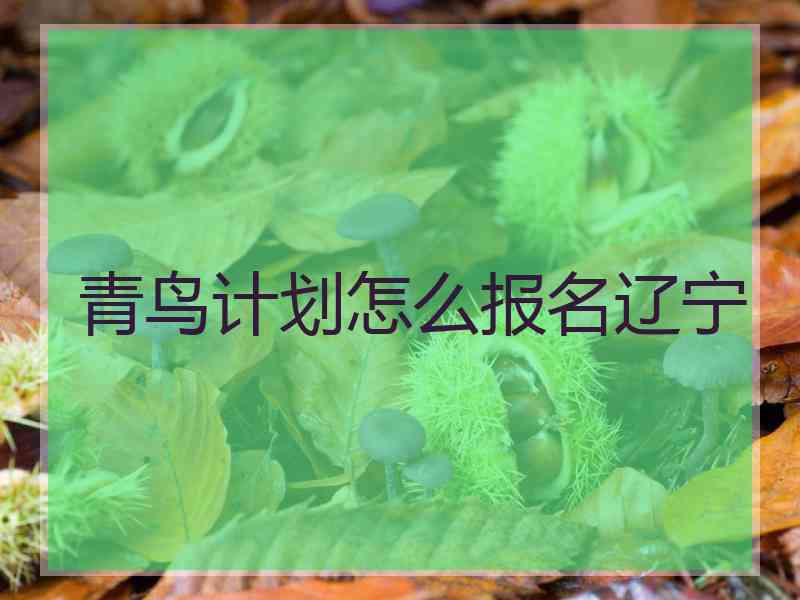 青鸟计划怎么报名辽宁