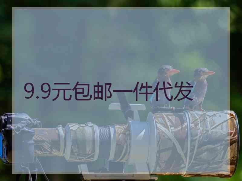 9.9元包邮一件代发