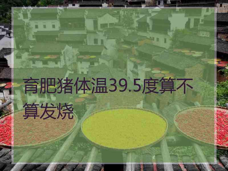 育肥猪体温39.5度算不算发烧