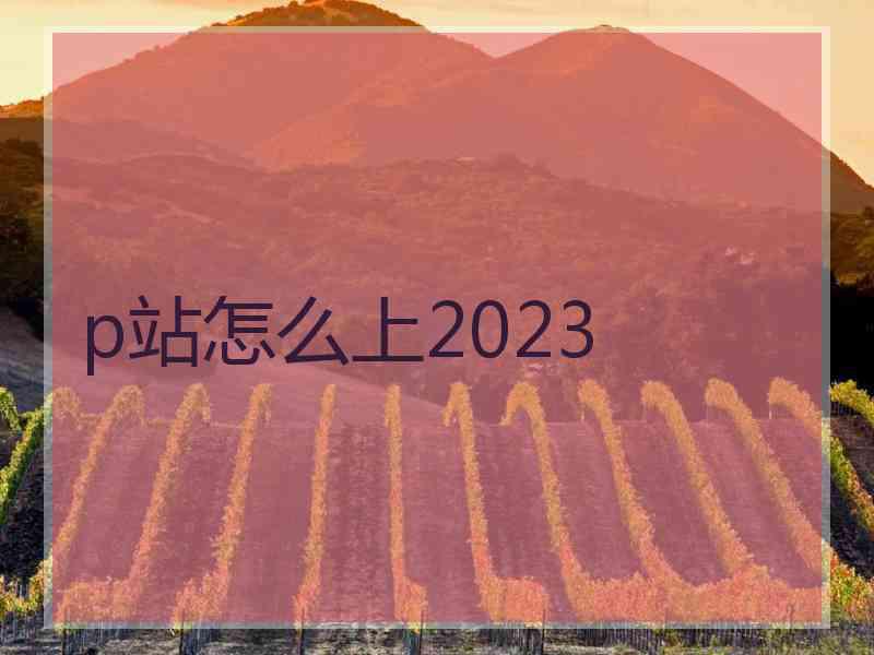 p站怎么上2023