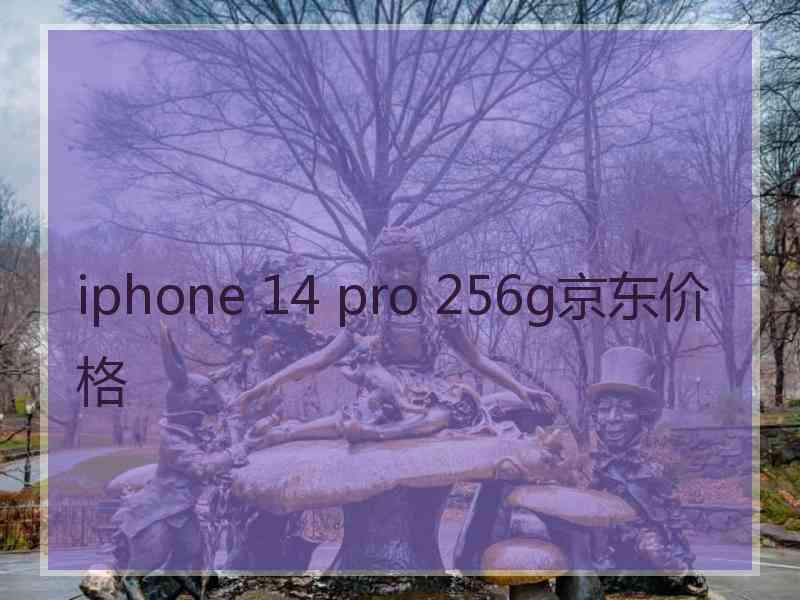 iphone 14 pro 256g京东价格