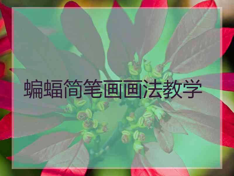 蝙蝠简笔画画法教学