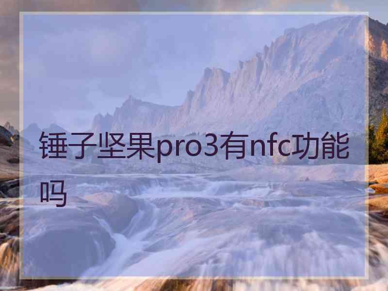 锤子坚果pro3有nfc功能吗