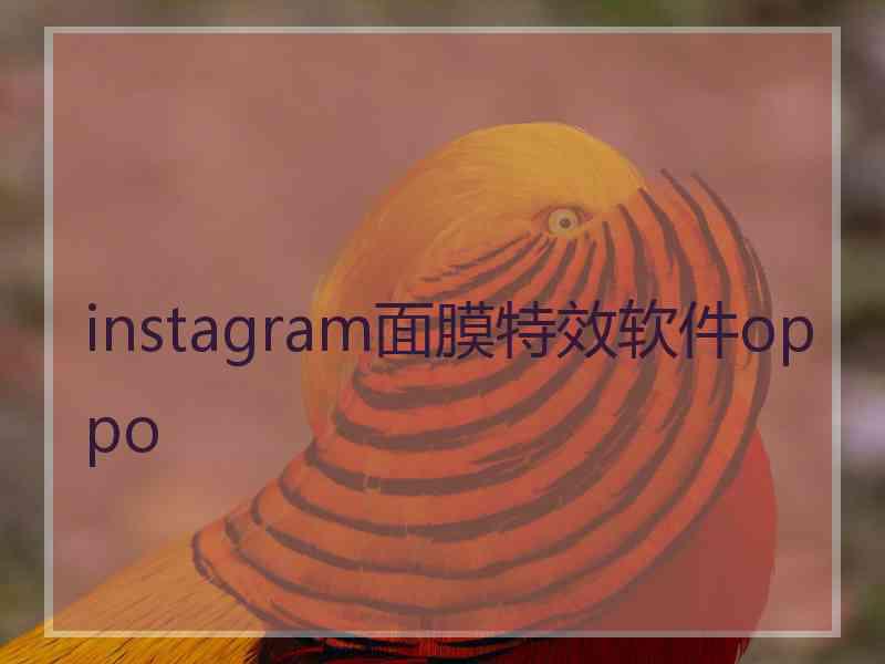 instagram面膜特效软件oppo