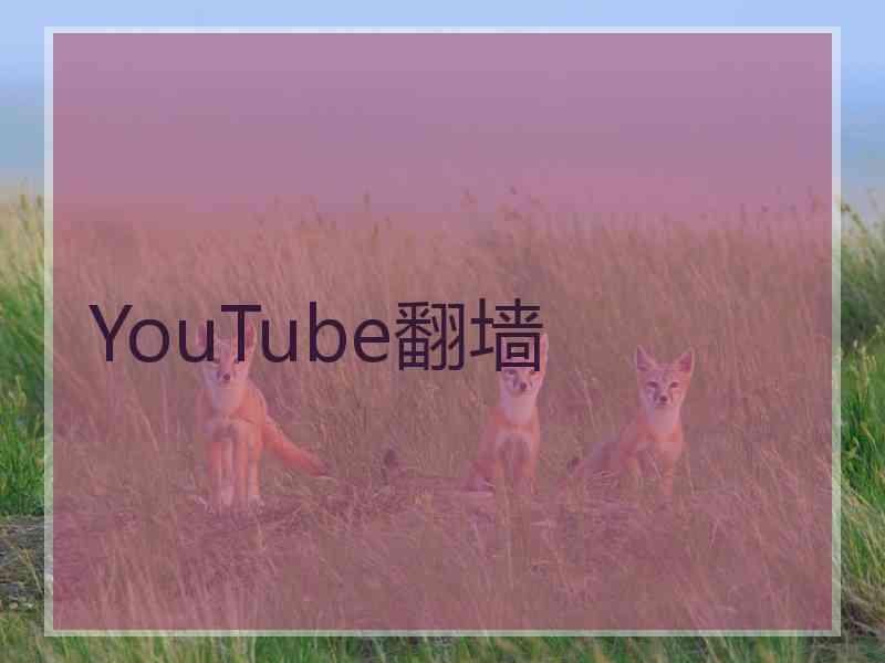 YouTube翻墙