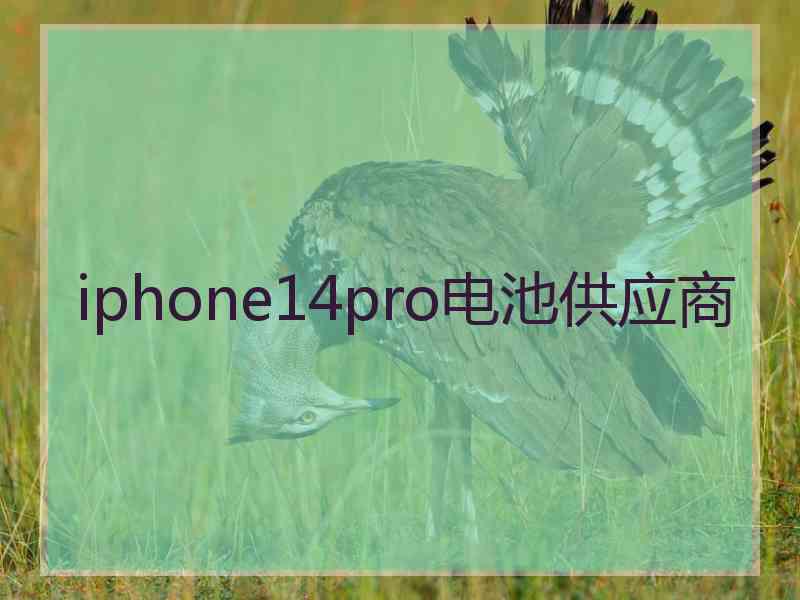 iphone14pro电池供应商