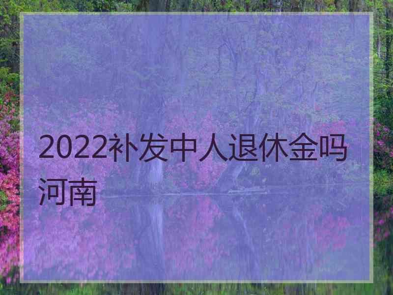 2022补发中人退休金吗河南