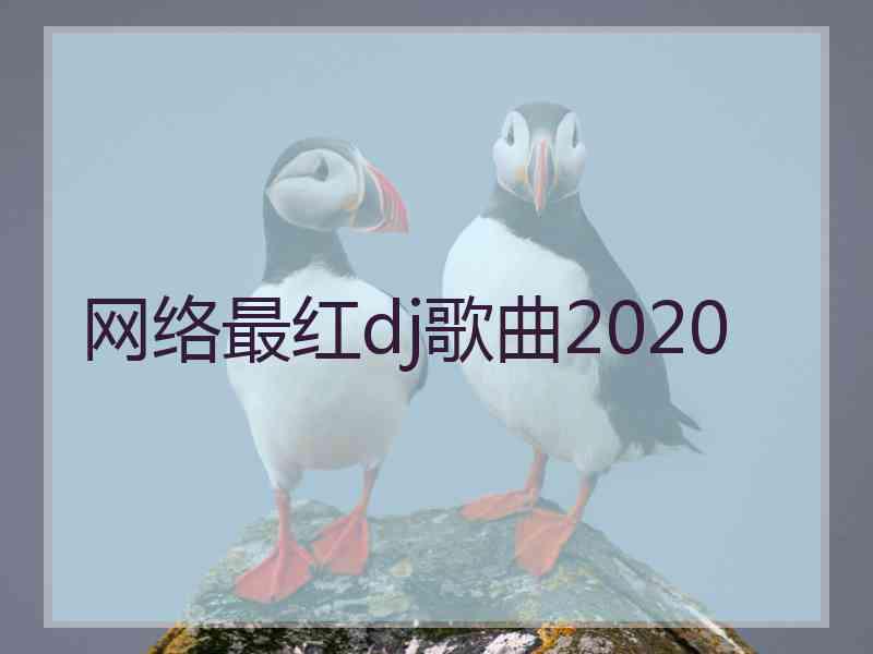 网络最红dj歌曲2020