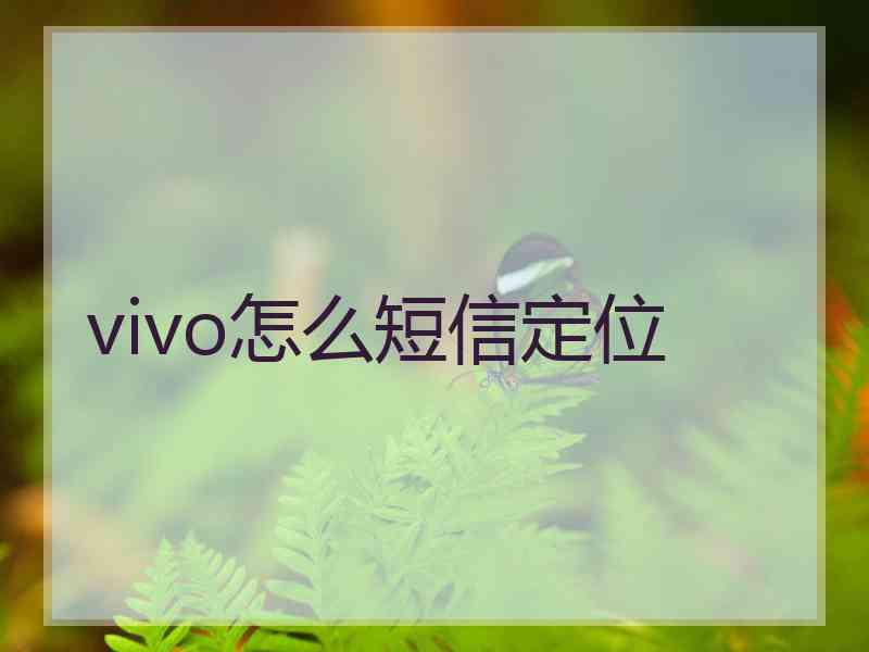 vivo怎么短信定位