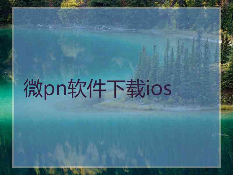 微pn软件下载ios