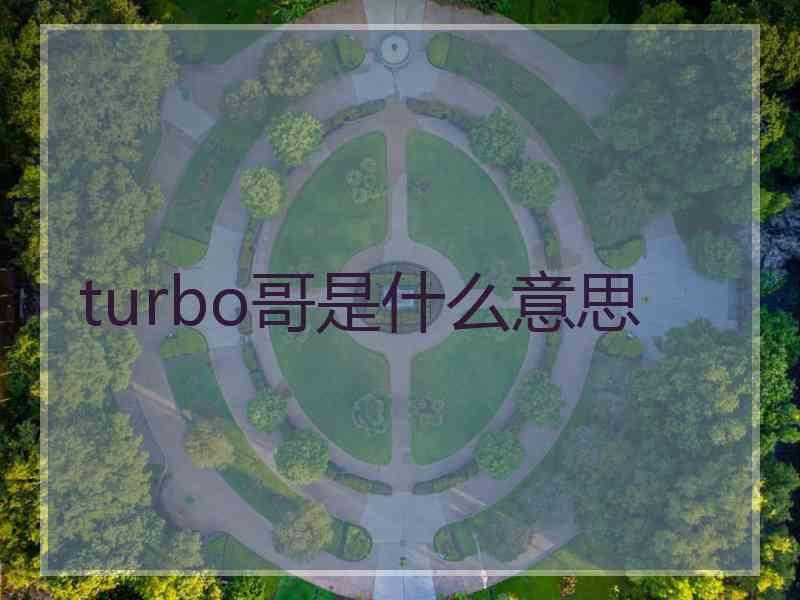 turbo哥是什么意思