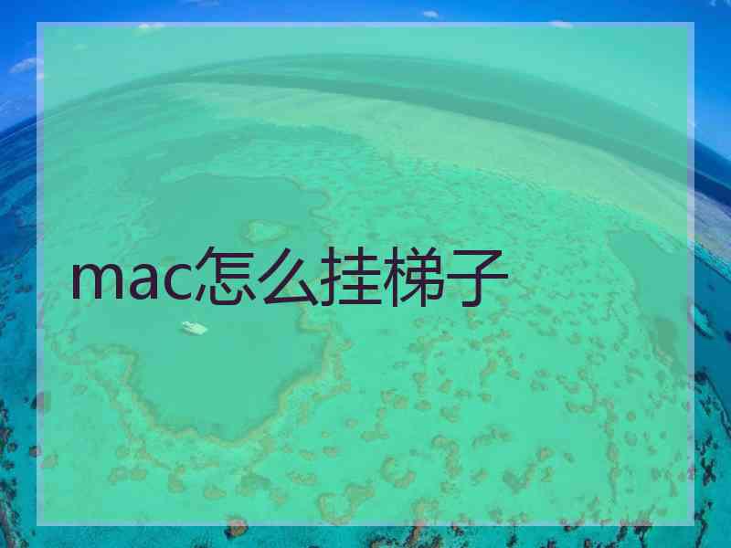 mac怎么挂梯子