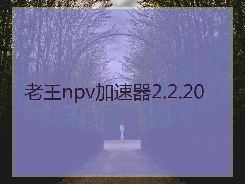 老王npv加速器2.2.20