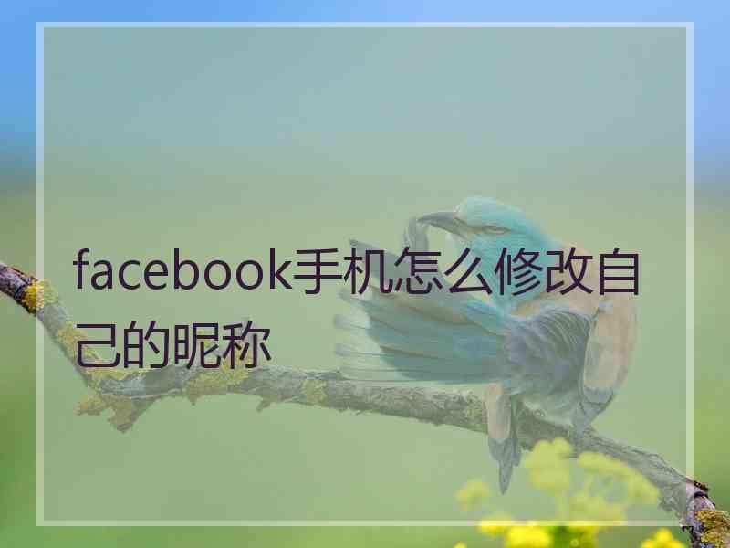 facebook手机怎么修改自己的昵称