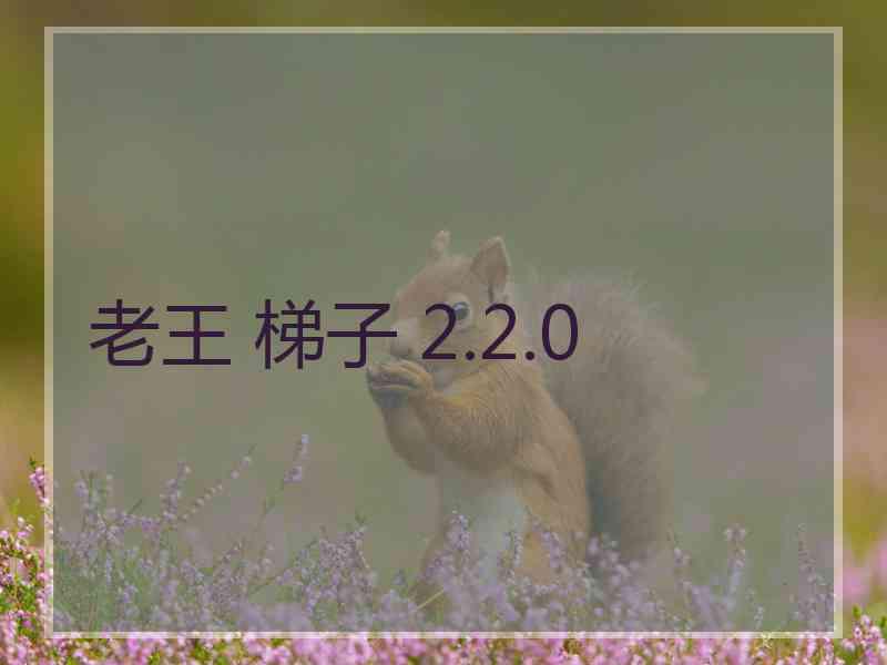 老王 梯子 2.2.0