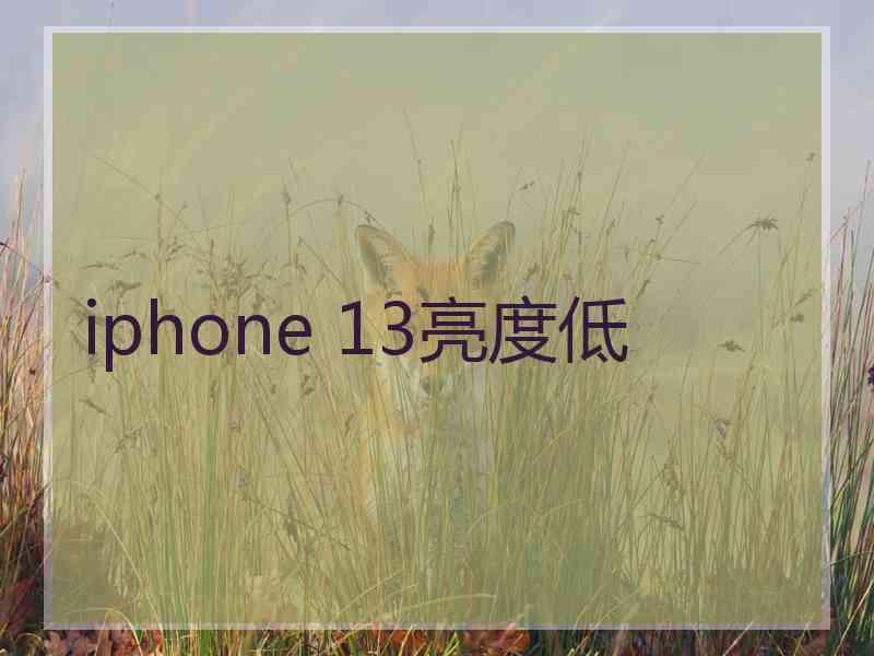 iphone 13亮度低