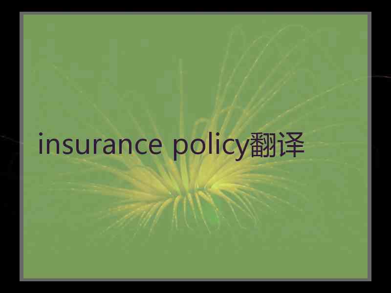 insurance policy翻译