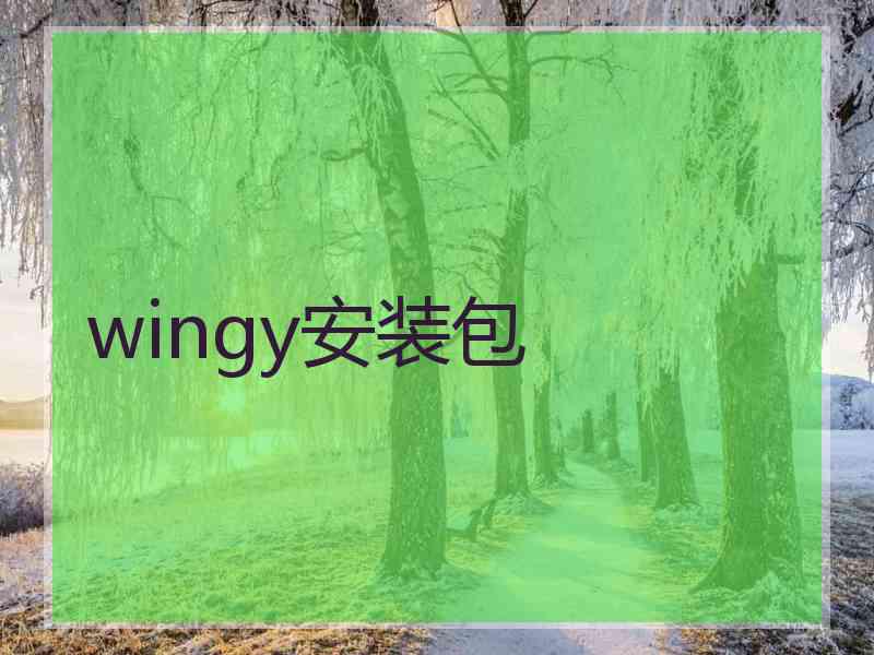 wingy安装包