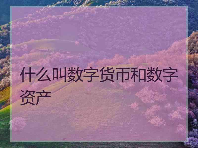 什么叫数字货币和数字资产