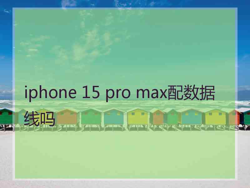 iphone 15 pro max配数据线吗