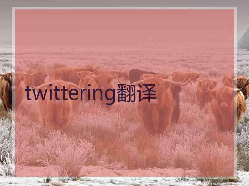 twittering翻译