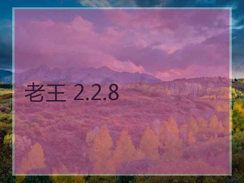 老王 2.2.8