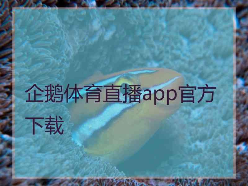 企鹅体育直播app官方下载