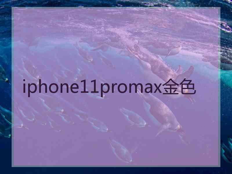 iphone11promax金色