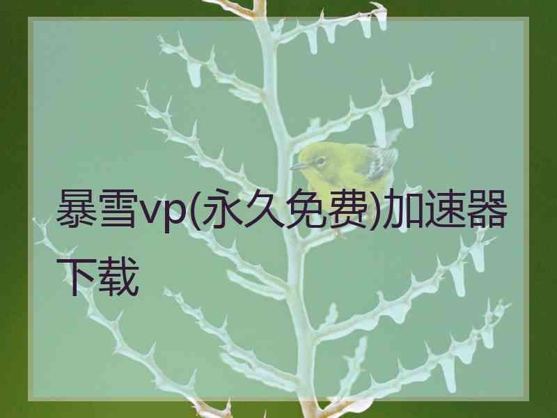 暴雪vp(永久免费)加速器下载