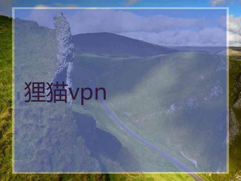 狸猫vpn