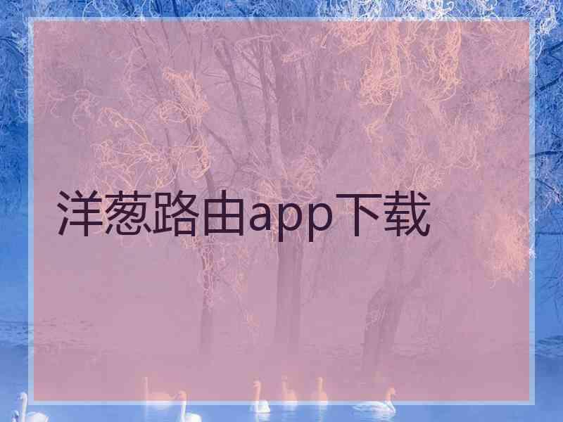 洋葱路由app下载