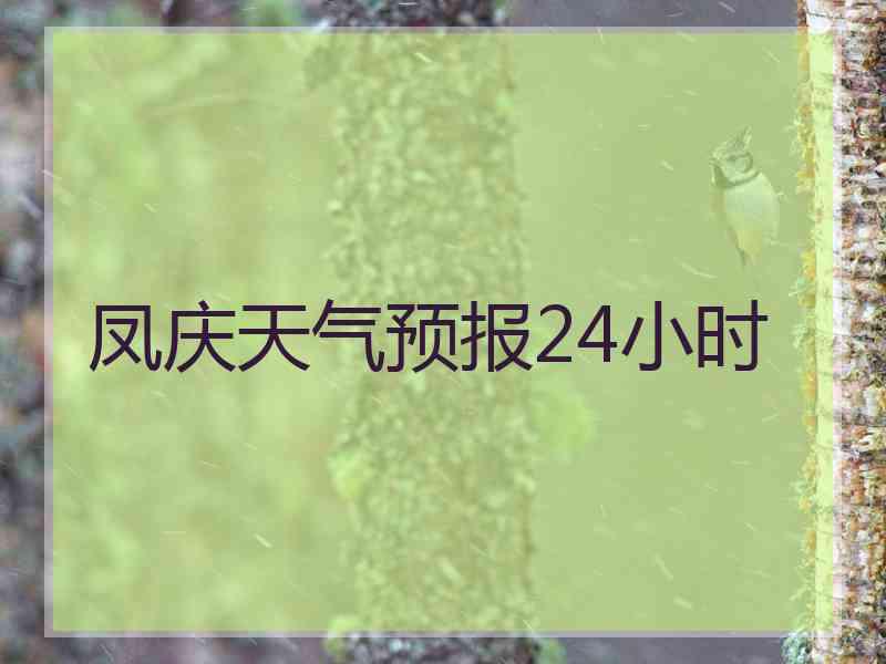 凤庆天气预报24小时