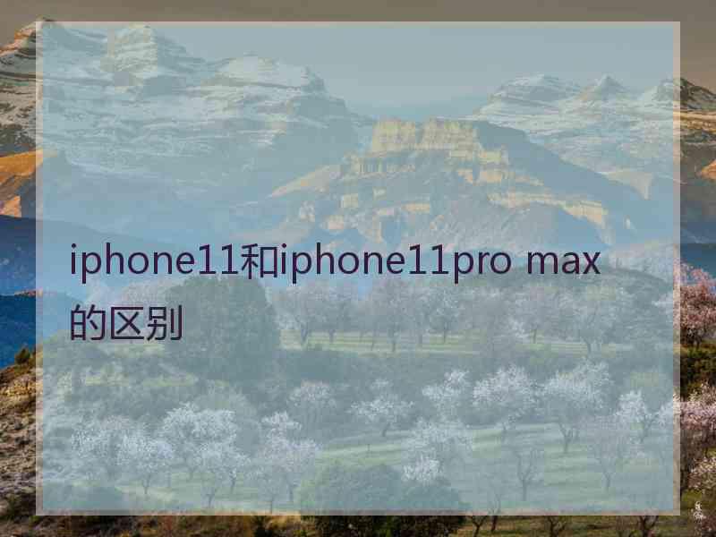 iphone11和iphone11pro max 的区别