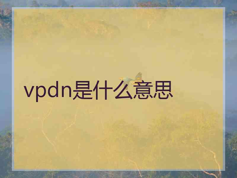 vpdn是什么意思