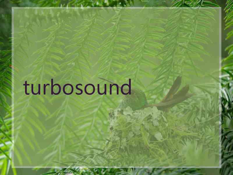 turbosound