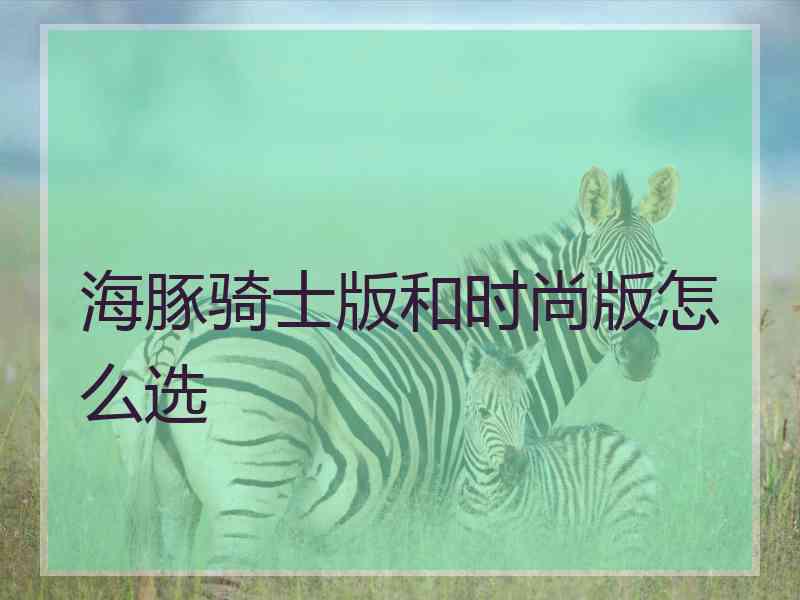 海豚骑士版和时尚版怎么选