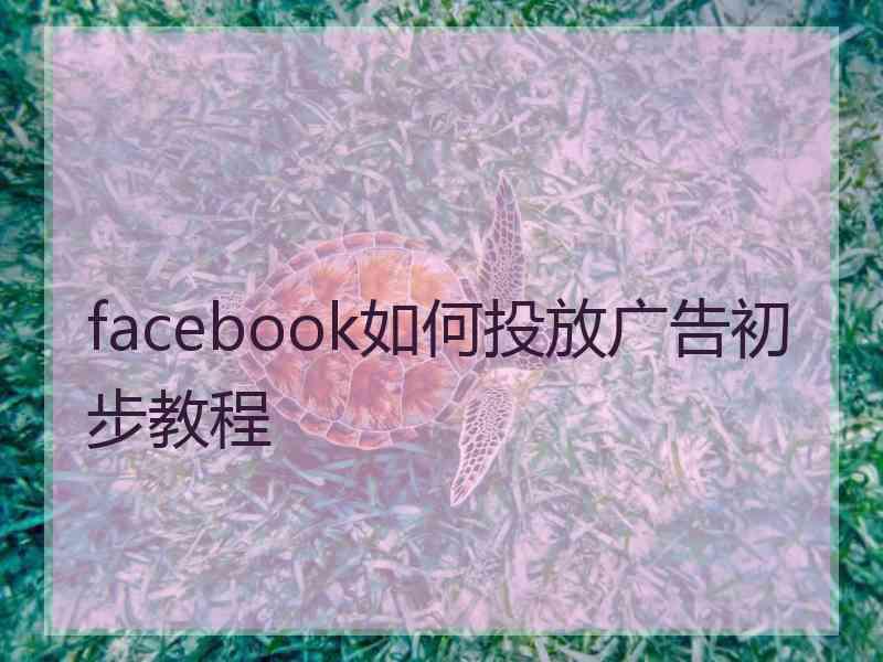 facebook如何投放广告初步教程