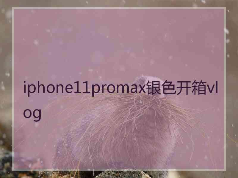 iphone11promax银色开箱vlog