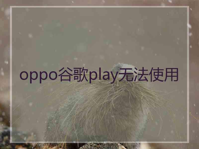 oppo谷歌play无法使用