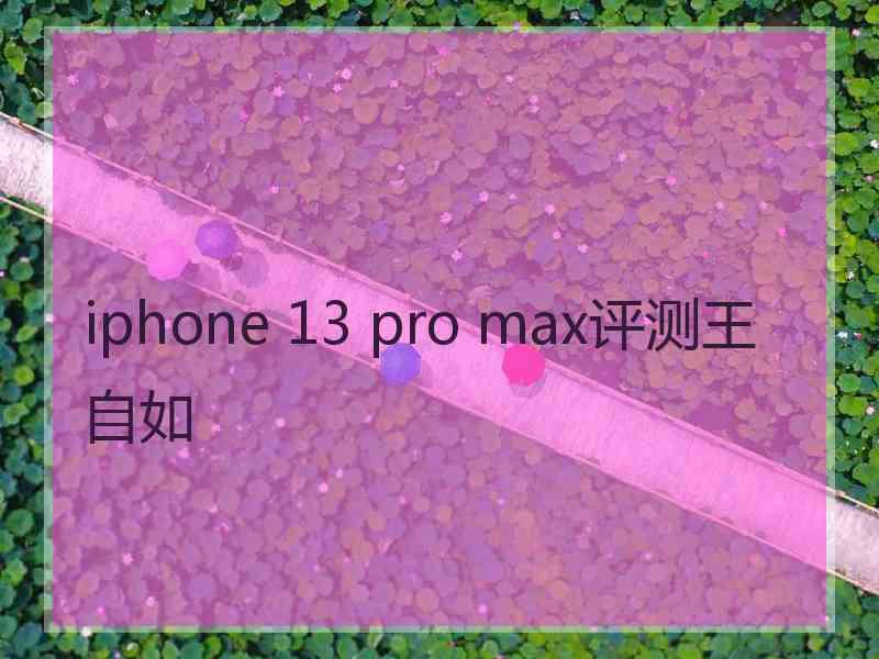 iphone 13 pro max评测王自如