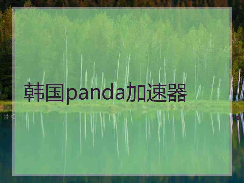 韩国panda加速器