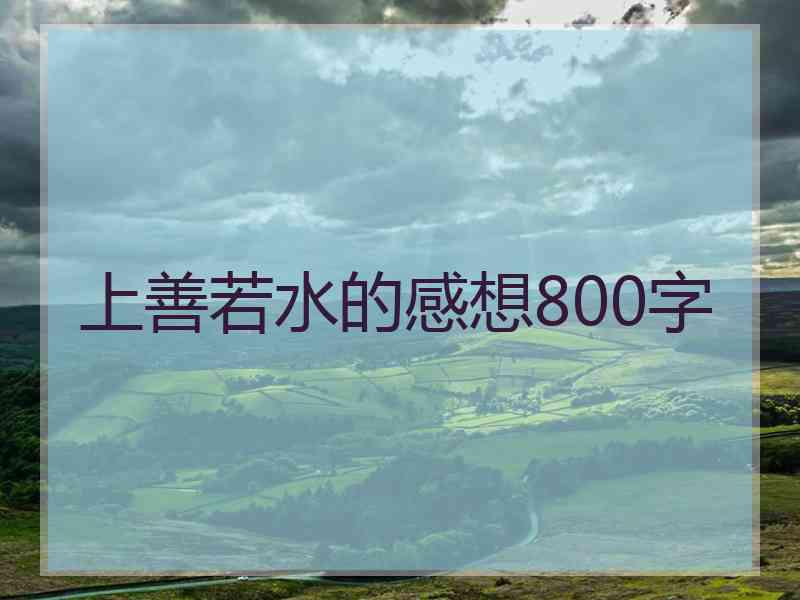 上善若水的感想800字