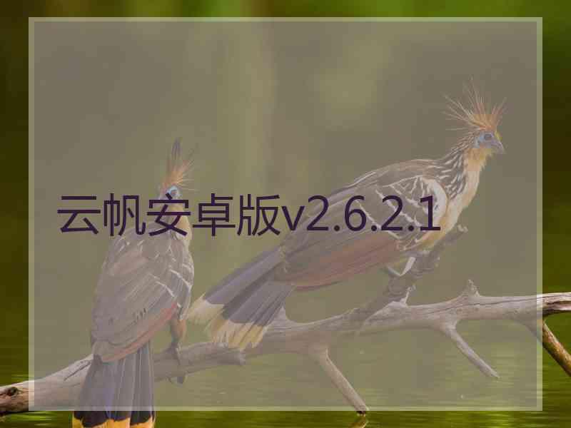 云帆安卓版v2.6.2.1